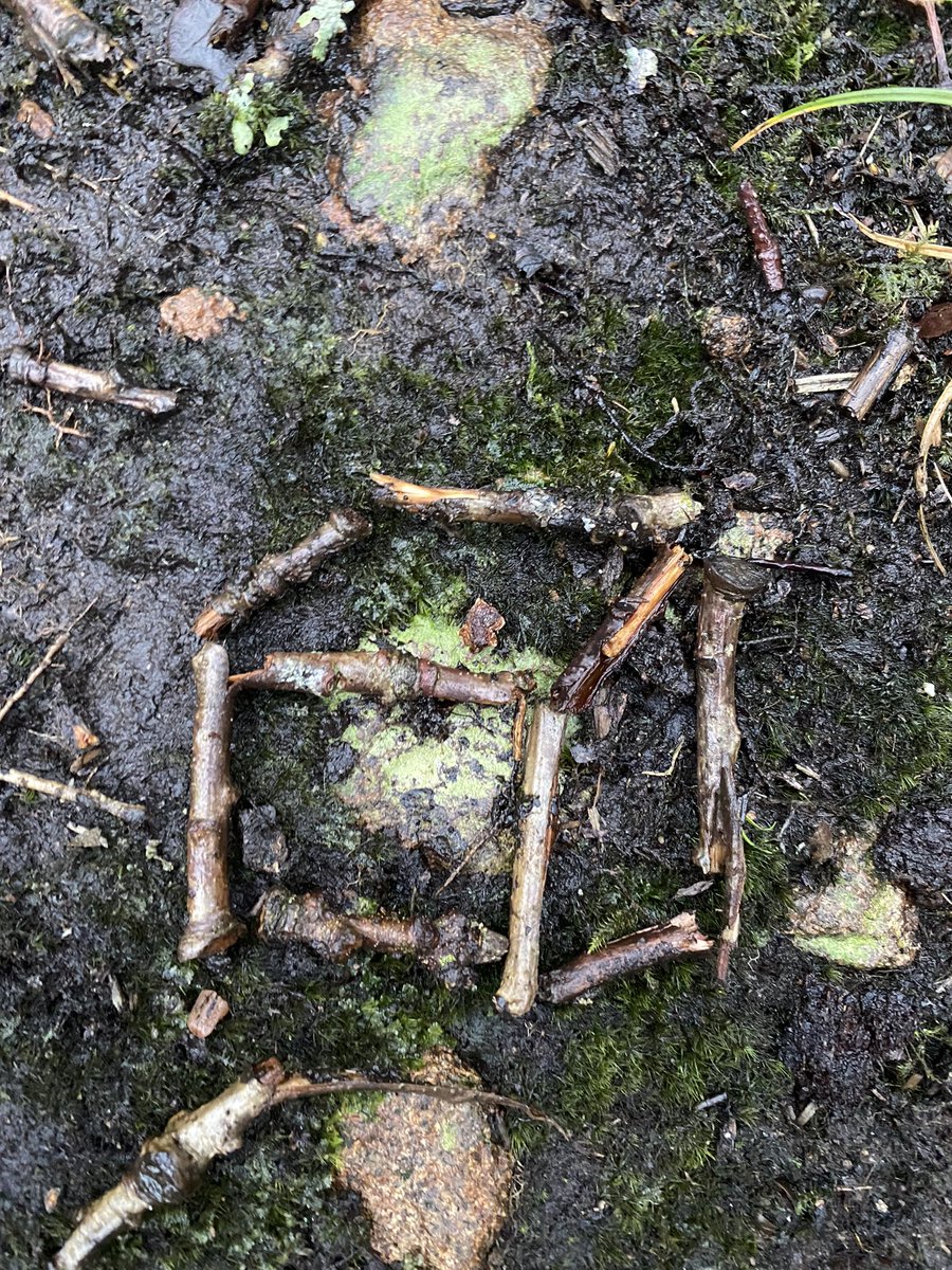 P5/6/7 created isometric drawings using natural materials in the outdoors during today’s outdoor learning.