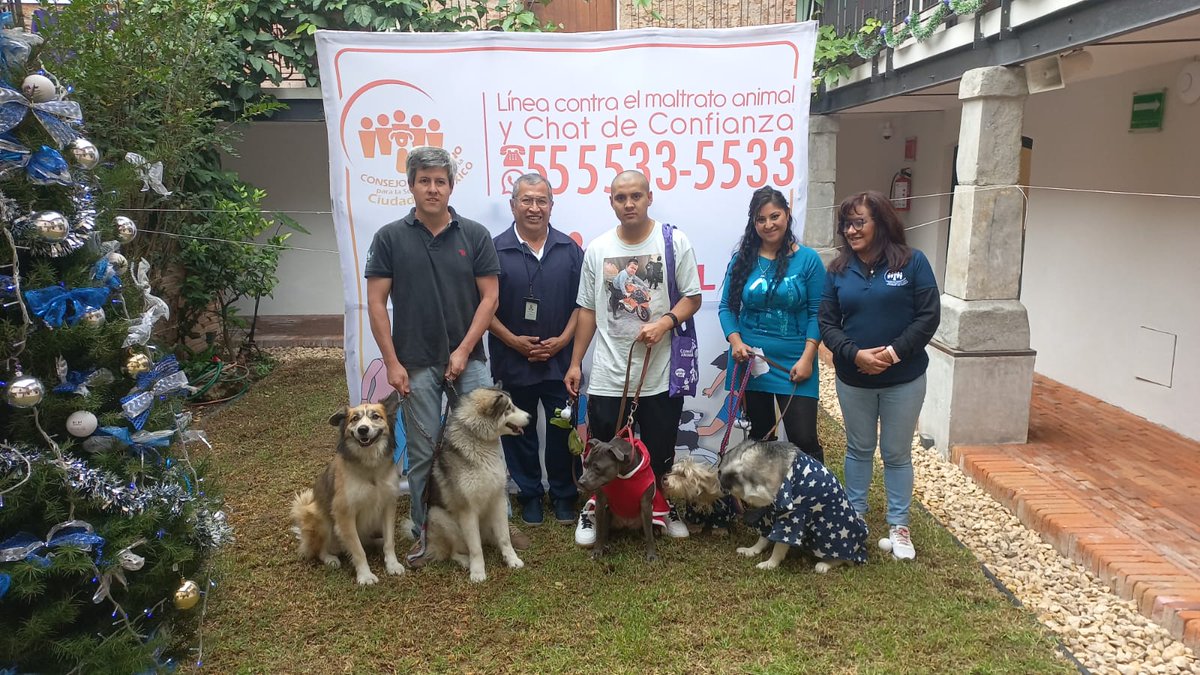 elconsejomx's tweet photo. Nuestra campaña de vacunación para los #CompAnimales que se llevó a cabo en nuestra sede @AzcapotzalcoMx fue todo un éxito. Agradecemos al Centro de Salud Tezozomoc II de la @SSaludCdMx por donar las vacunas para nuestros peludos amigos. https://t.co/787jvH4LuR