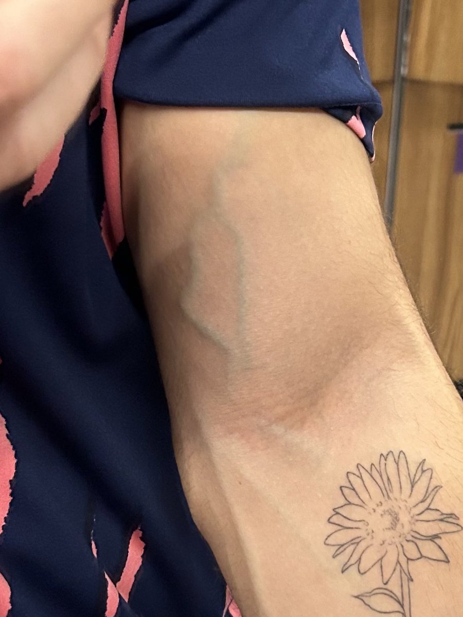 Roy Linik tweet media