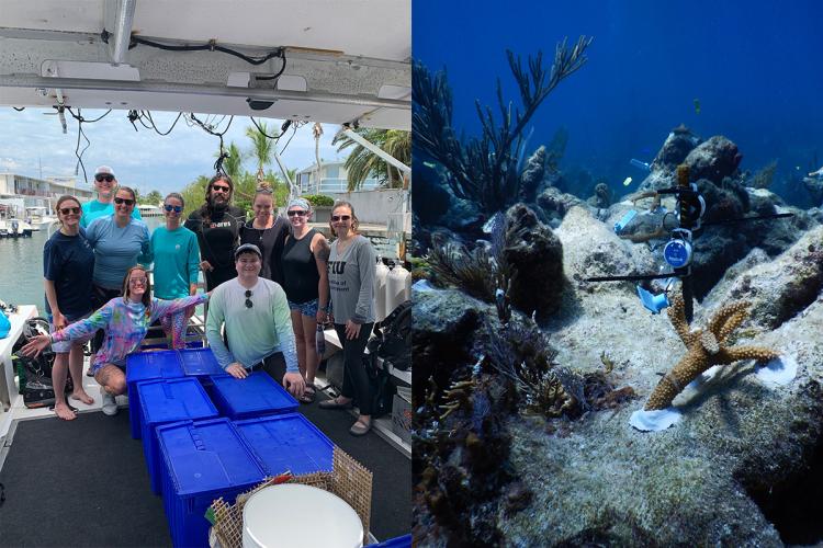 The Ruth D. Gates Restoration Innovation Grant opportunity is now open!
We're funding projects that:
🧬Advance the application of intervention techniques to improve #CoralResilience to threats
📈Improve #CoralRestoration practices, survivorship, and growth
fisheries.noaa.gov/feature-story/…