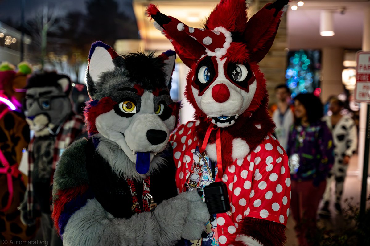 Happy Fursuit friend Friday! Got to meet this awesome bean! <a href="/FluffyYonaBark/">🐾 Yona! 🐾</a> 
#MFF2023 #FursuitFriday
📸: <a href="/AutomataDog/">AutomataDog</a>