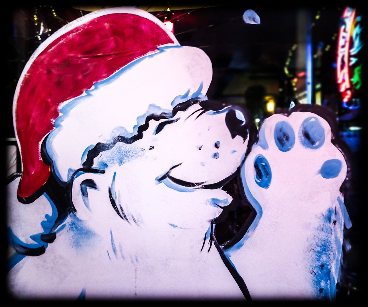 ' Polar Bear ' 

#December #Holidays #Arctic #NorthPole #PolarBear #Cartoon #Cartoons #Animal #Animation #Animations #Bear #BearAnimations #HandPaintedGlass #StreetArt #StreetPhotograph #StreetPhotographs #StreetPhotography #RedStockingCaps #Santa #SantaClaus #Happy #Smile #XMas
