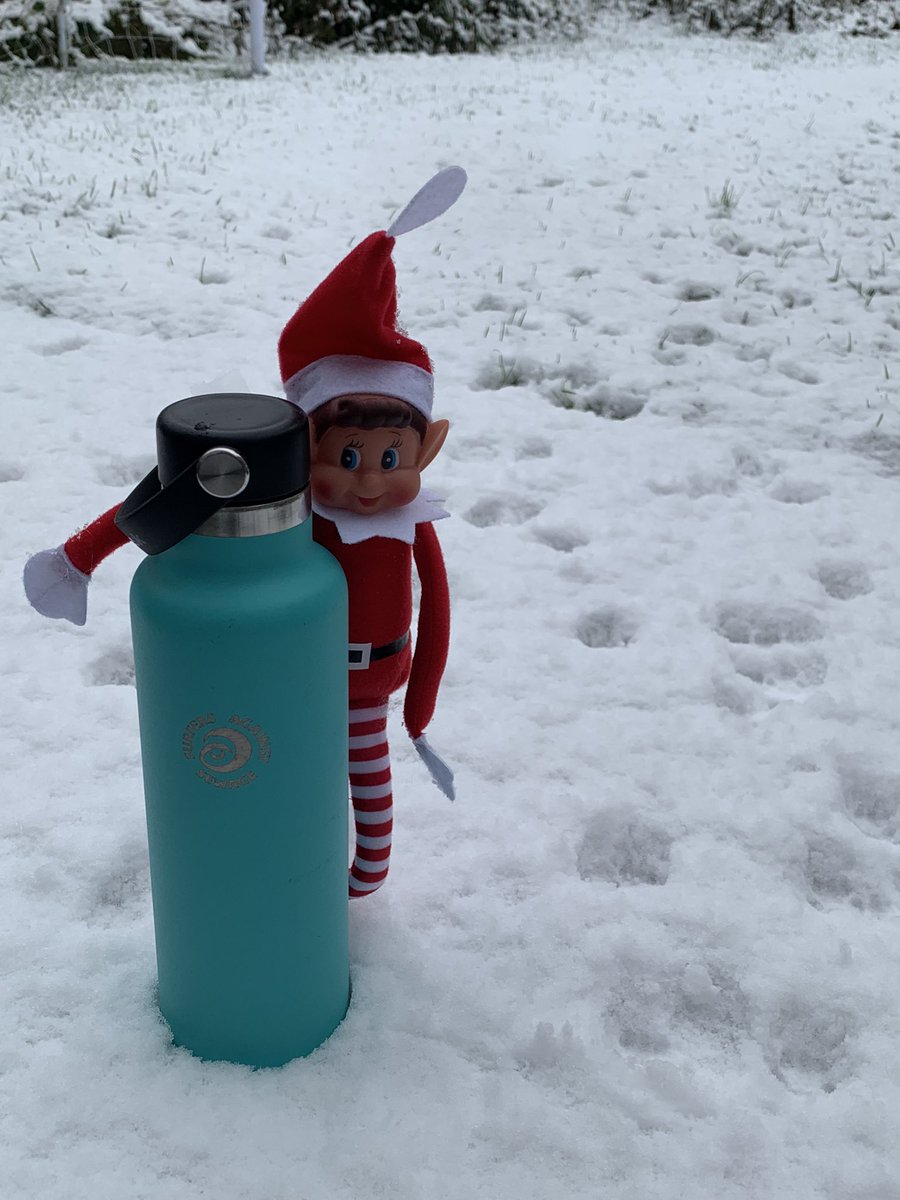 The @PFreeNWLeeds elf is making sure Santa has his reusable water bottle 🎅🏻 @sascampaigns @GreenpeaceUK @PlasticsRebel @PlasticsWar @plasticfreehkny