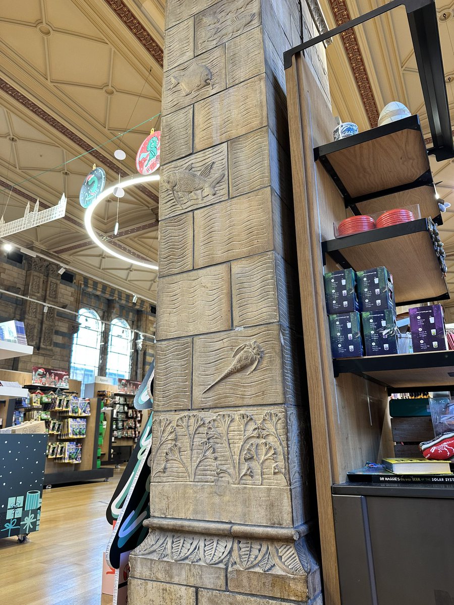NHM_Library's tweet photo. Next time you are visiting @NHM_London and in the @NHM_Shop, take a moment to appreciate the #AlfredWaterhouse terracotta columns. What creatures and plants can you spot? #Archecture #Art https://t.co/GUJVU7rRXt