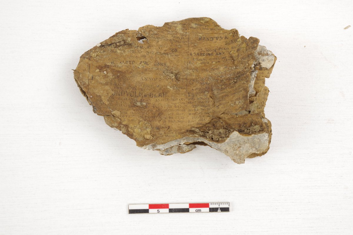 Simon Verdegem tweet media