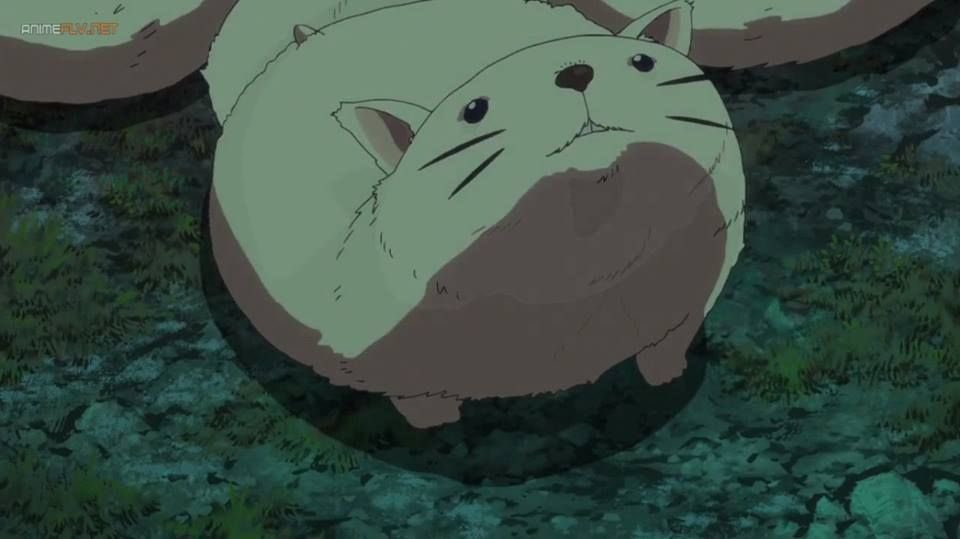 FlatFvck's tweet photo. I hope flat fucks look up to me as much as I look up to them. They are babies and we should all show our appreciation to them! If you love flat fucks say “I love you flat fucks!” In the comments! -Ryo https://t.co/Oo5ABpnIZA