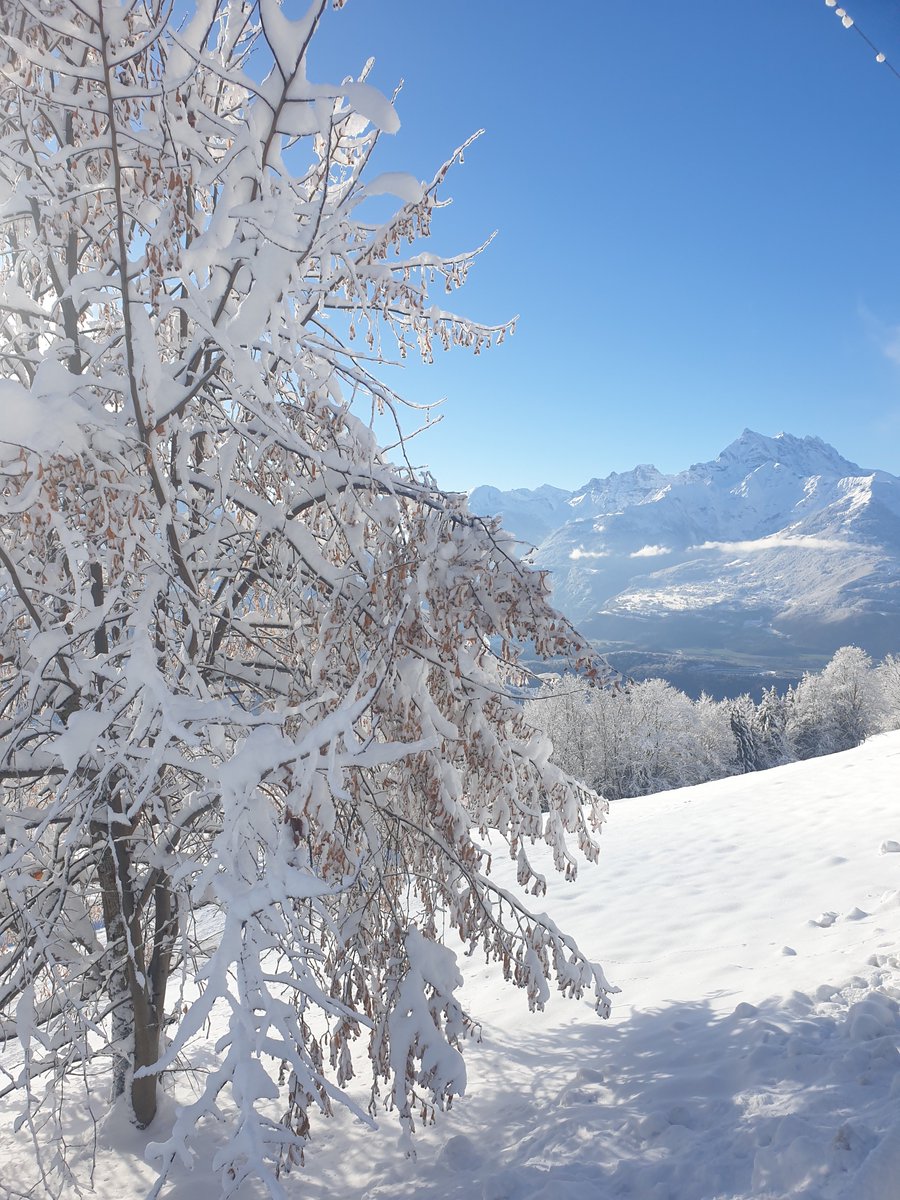 Rebecca Curley tweet media