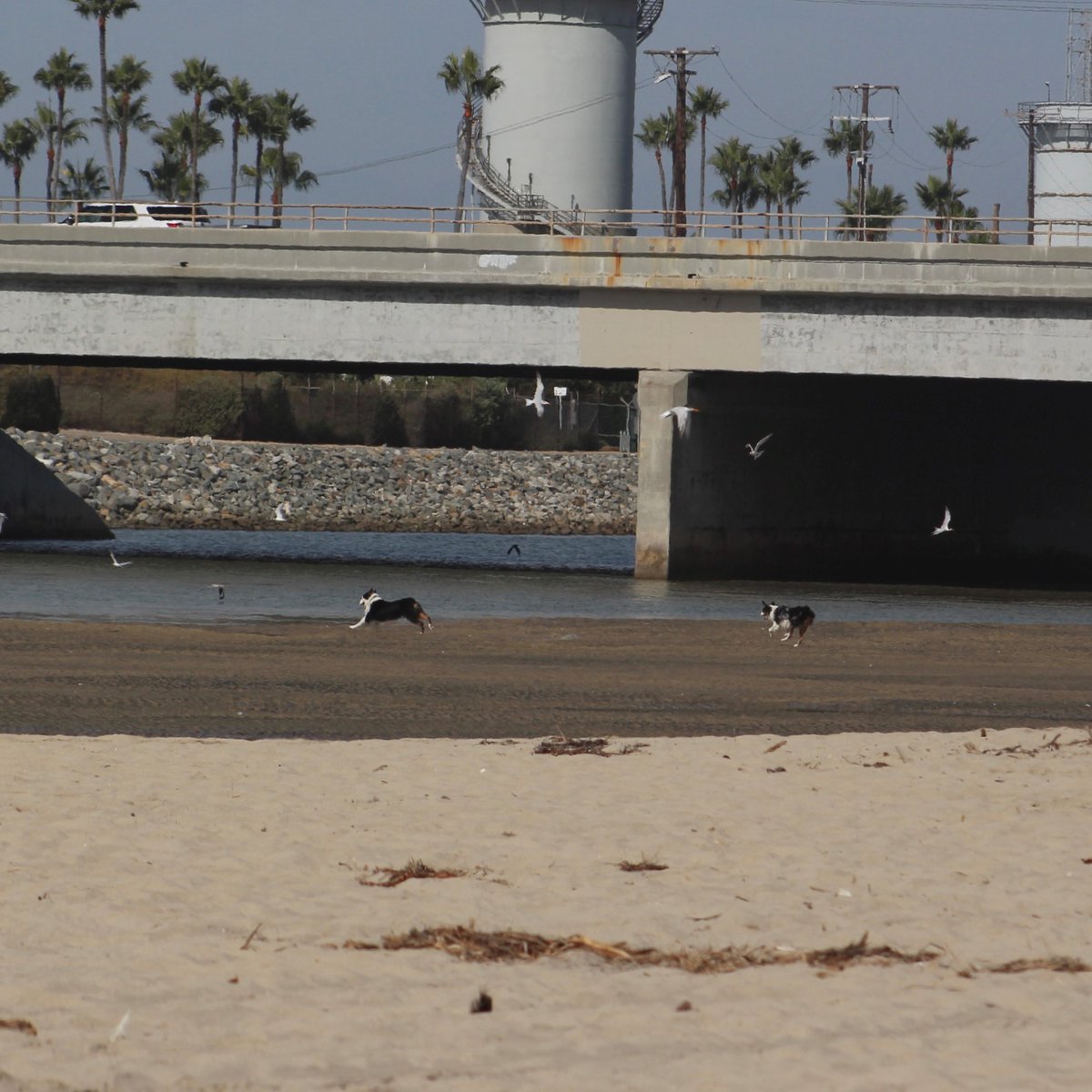 Orange County Coastkeeper tweet media