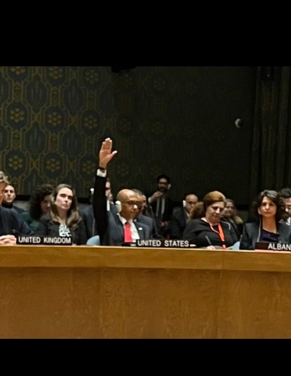ClaraTyler777's tweet photo. Cet homme vient de voter contre le cessez-le-feu 
Il lève la main pour voter contre la Paix et la vie 
Il lève la main pour demander plus de morts 
Il lève la main de Satan et de l’enfer
#USA #ONU #Gaza_Genocide https://t.co/jSTLIP8EW5