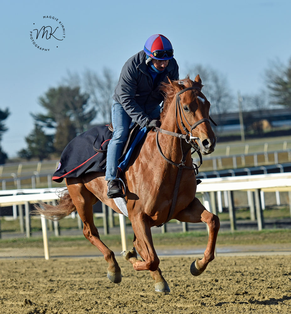 For you, Mr. Campbell. ❤️🩶🩵 herringswellstables.com/a-heavenly-win… #PoweredbyTLore #Horsebitscuits