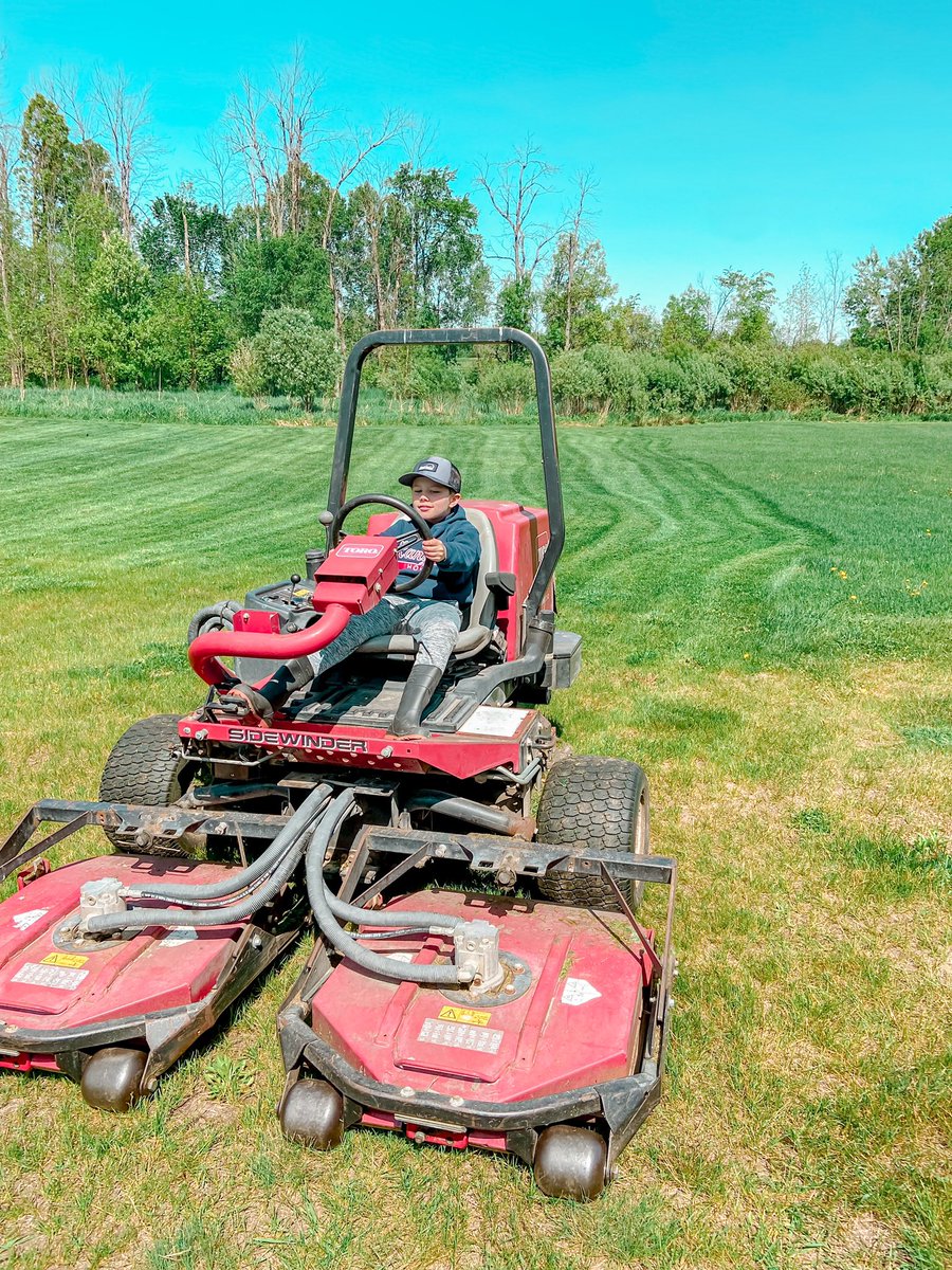 Ryan Sloan tweet media