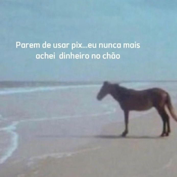 imacbdegen's tweet photo. parem https://t.co/bYK3pcb6zl