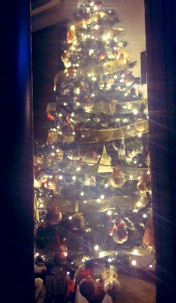 anchelaste's tweet image. #LaPicdiNatale  🎄💚         📸mia
