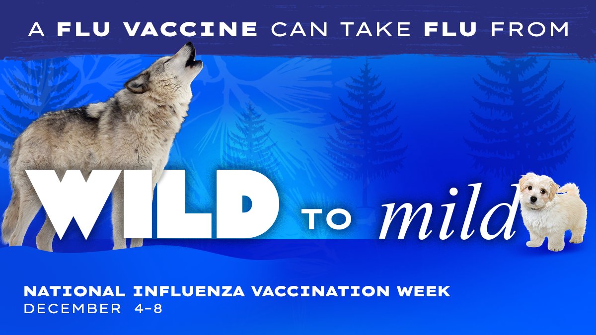 Today is the end of the #InfluenzaVaccinationWeek but the #flu season is still in full swing! Make time to get vaccinated and prevent potentially serious flu illness from spreading. 
loom.ly/OM0T1so
#FightFlu #NIVW