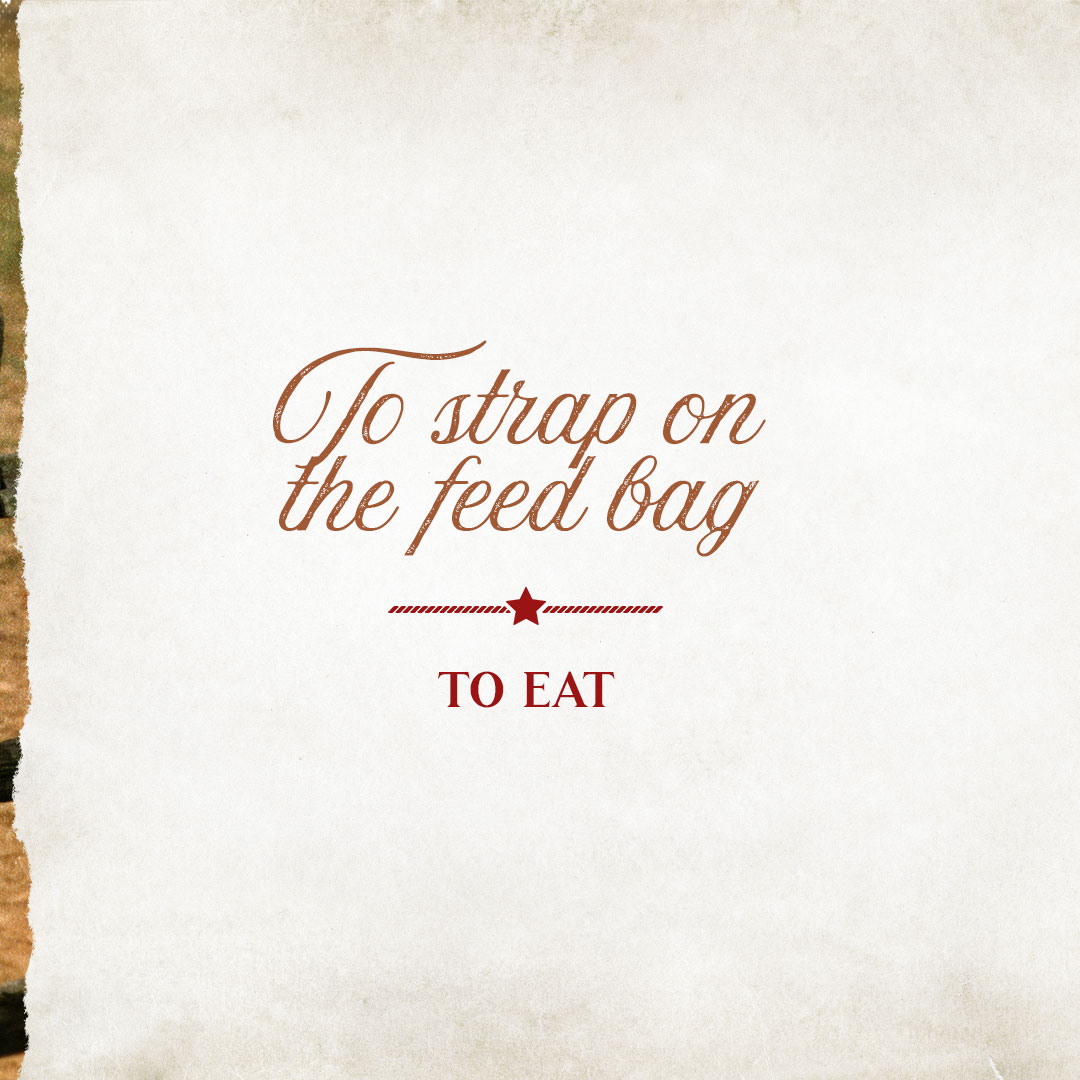 reba's tweet image. Here&apos;s another lesson in Oklahoma slang, folks! I know I&apos;ll be doing some of these over the holidays... All this and more in my new book, #NotThatFancy!

Get your copy on @Amazon here: amzn.to/3tY8Shv