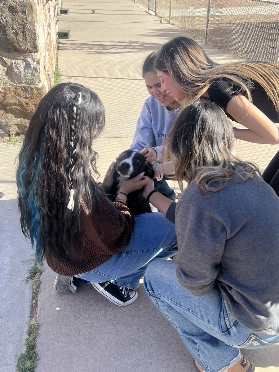 Libertas interns with House District 75- @RepMaryGonzalez, learning about local government through Animal Services-City of El Paso. Learning how they can help our community! 🐾💙 #ThisIsLibertas @Americas_HS @SocorroISD
