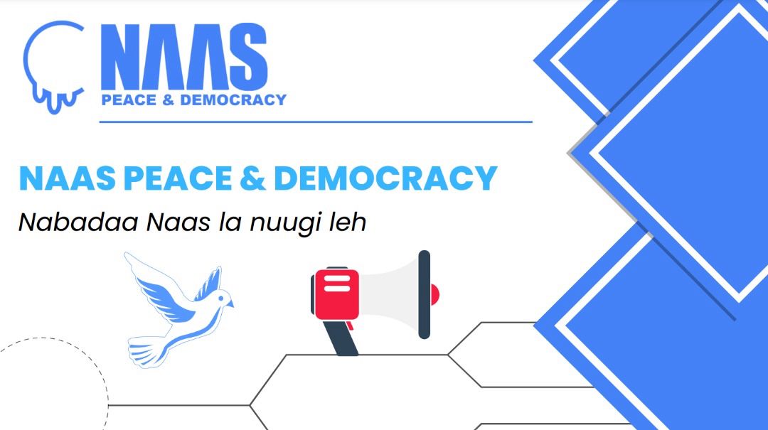 Naas For Peace & Democracy tweet media