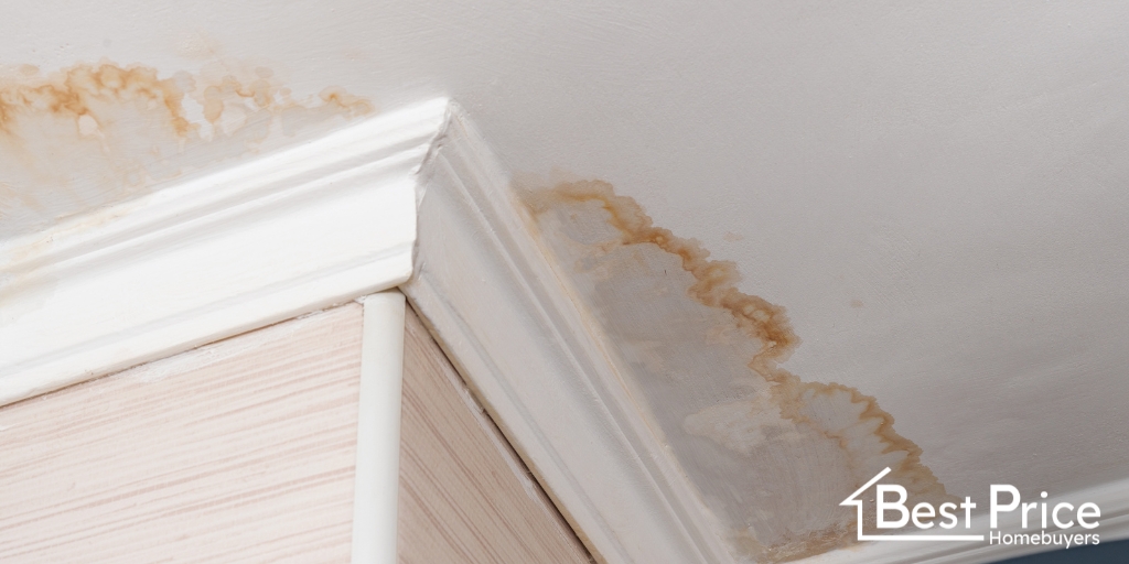 bphomebuyers's tweet image. Experiencing a leaky roof from the winter elements? Find out how you can sell your home as-is.

bit.ly/3qnsF5I  

#LeakyRoof #Winter