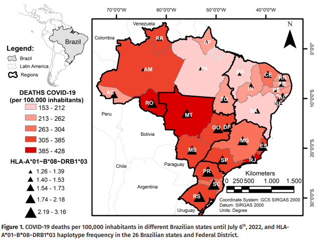 aabcjournal's tweet photo. #RevistaAABC • Confira o artigo da área de BIOLOGIA CELULAR E MOLECULAR da edição 63 da @aabcjournal

👉 https://t.co/JK0C9x1jXO👈

A nova publicação dos Anais da @ABCiencias já está disponível. Ela conta com uma seleção de 40 artigos de diversas áreas cientificas. Vem conferir! https://t.co/dzxV4cxqHn