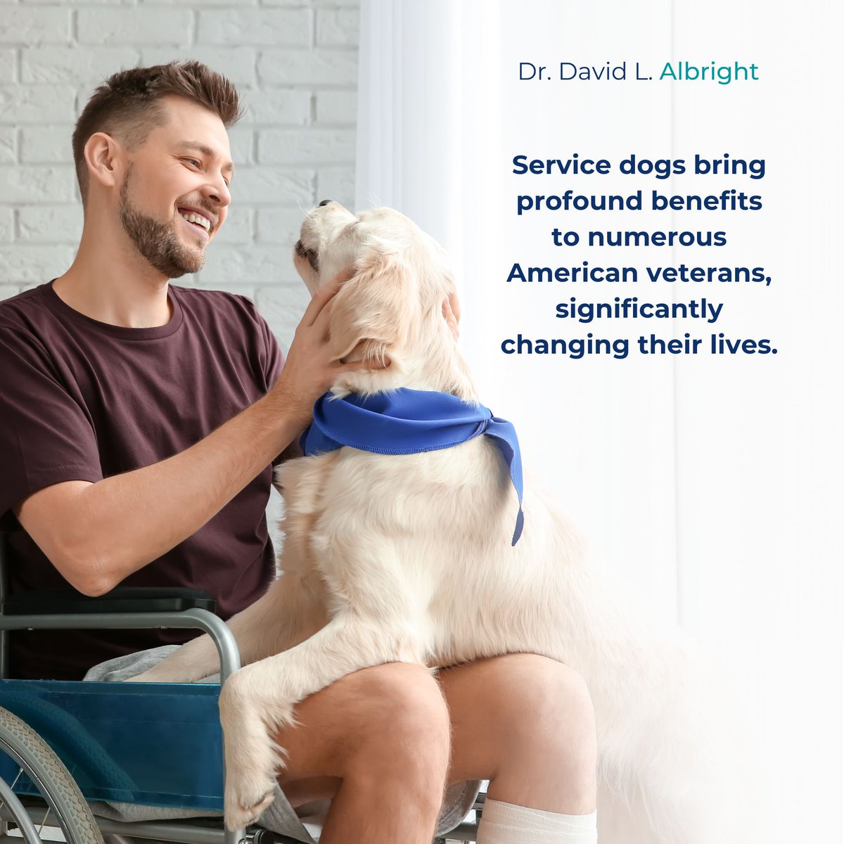 Offering a distraction from abruptly unpleasant emotions, such as triggers that could lead to anxiety in people with PTSD, is one of the main purposes of therapy dogs for veterans.

#DrDavidLAlbright #CommunityEngagement #WellBeing #MentalHealth #ServiceDogs