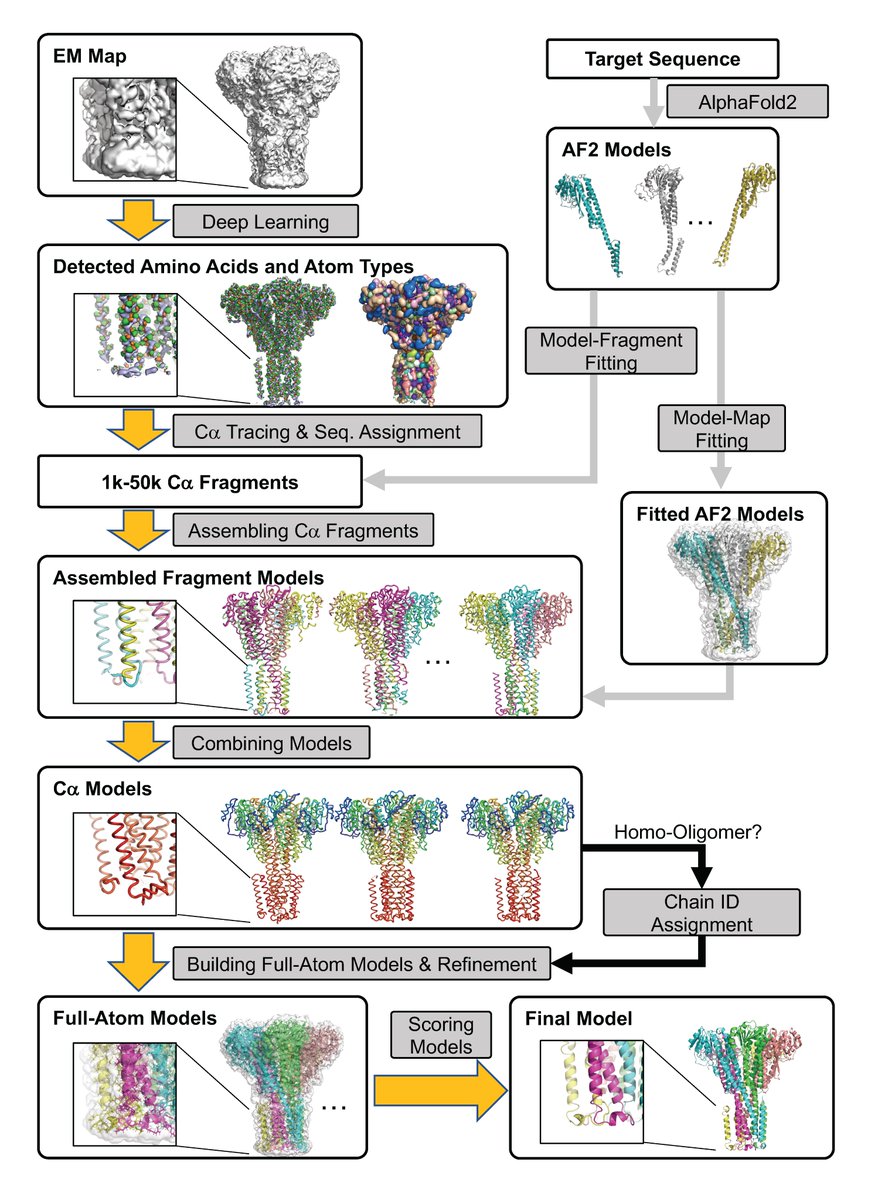 Kihara Laboratory tweet media