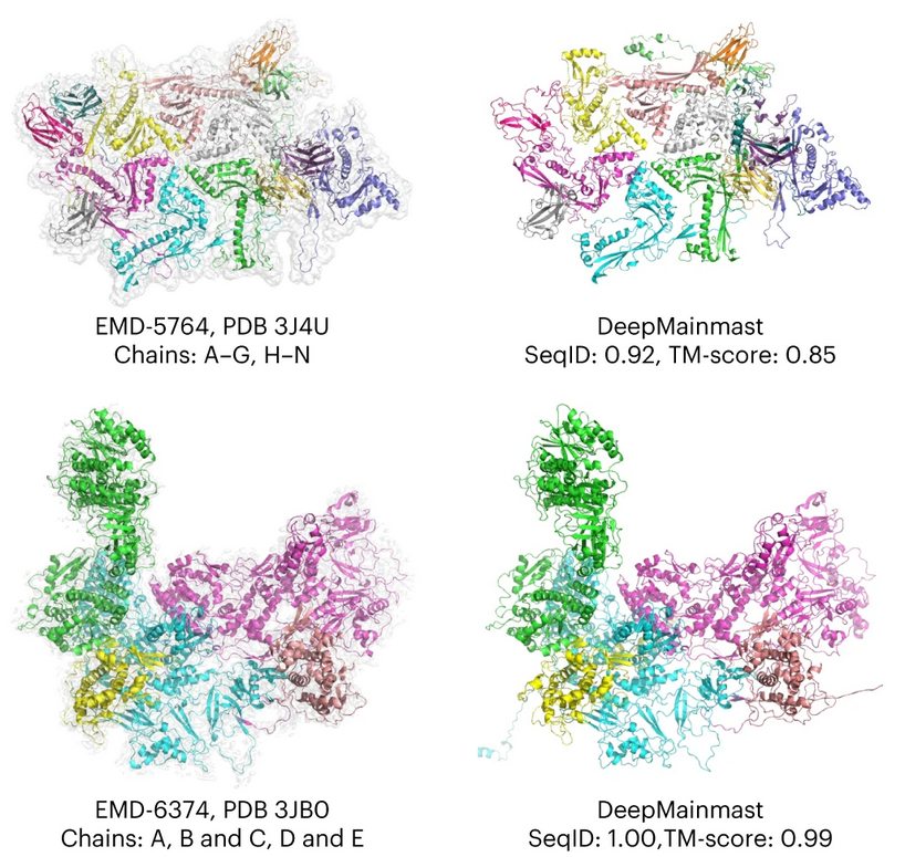 Kihara Laboratory (@kiharalab) on Twitter photo Happy to share that the DeepMainmast paper is out in Nature Methods. A fully automated protein str modeling for cryo-EM map. Can take Alphafold prediction and performs better than AF. nature.com/articles/s4159β¦ Available at kiharalab.org/emsuites/deepmβ¦ Server: em.kiharalab.org/algorithm/Deepβ¦ Happy to share that the DeepMainmast paper is out in Nature Methods. A fully automated protein str modeling for cryo-EM map. Can take Alphafold prediction and performs better than AF. nature.com/articles/s4159β¦ Available at kiharalab.org/emsuites/deepmβ¦ Server: em.kiharalab.org/algorithm/Deepβ¦