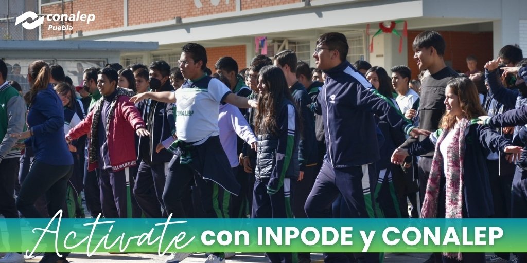 Conalep_Pue's tweet photo. 🙌 ¡Qué bien la pasaron alumnas, alumnos, padres de familia y docentes en el programa "Actívate con INPODE y CONALEP"! 🏃‍♀️🏃‍♂️ Cerramos la semana muy movidos gracias a nuestros amigos del @DeporteGobPue. 👏 #SomosConalep #ConalepTransforma 🟢💪 https://t.co/MUQ94UcLqW