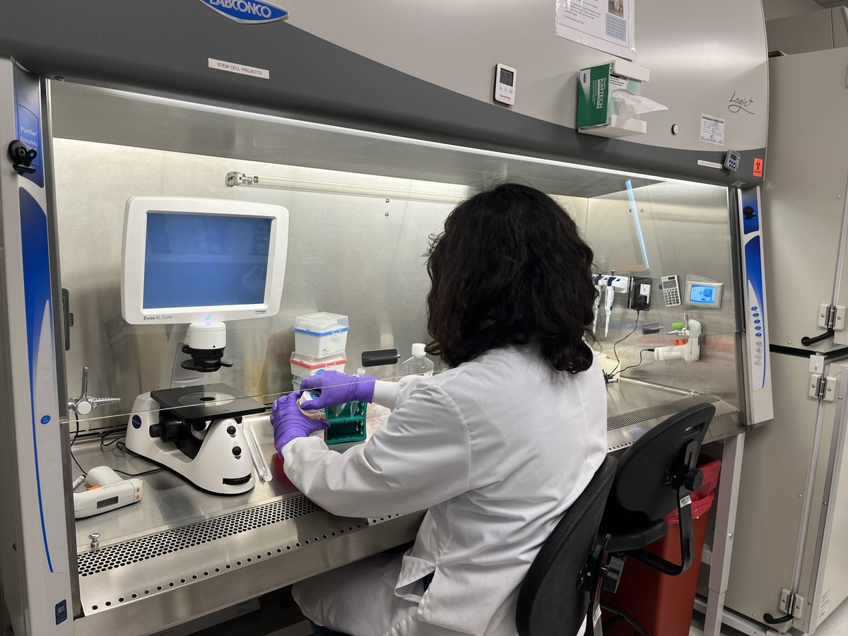 lajollalabs's tweet photo. Today in the lab: Cell care for an external project
#inthelab #scientist #lajollalabs #LJL #labwork #cellcare #cellwork #RNAtherapeutics #biotech #RNA #CancerResearch #RareResearch #raredisease https://t.co/P1naOqCLzs
