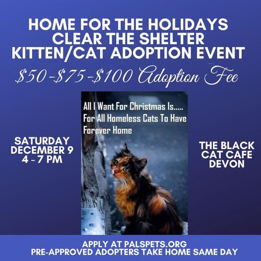 pa_pals's tweet photo. We are having an in-house adoption event Get pre-approved at https://t.co/9eJBh21pIi.
The Black Cat Cafe
42 Berkley Road, Devon PA
Saturday December 9, 4-7pm at
#blackcatcafe #adoptme #kitty #kittycat #pals #palspets #palscasefiles #adoptdontshop #catrescue #rescuekitten https://t.co/CcTJfLHYm2