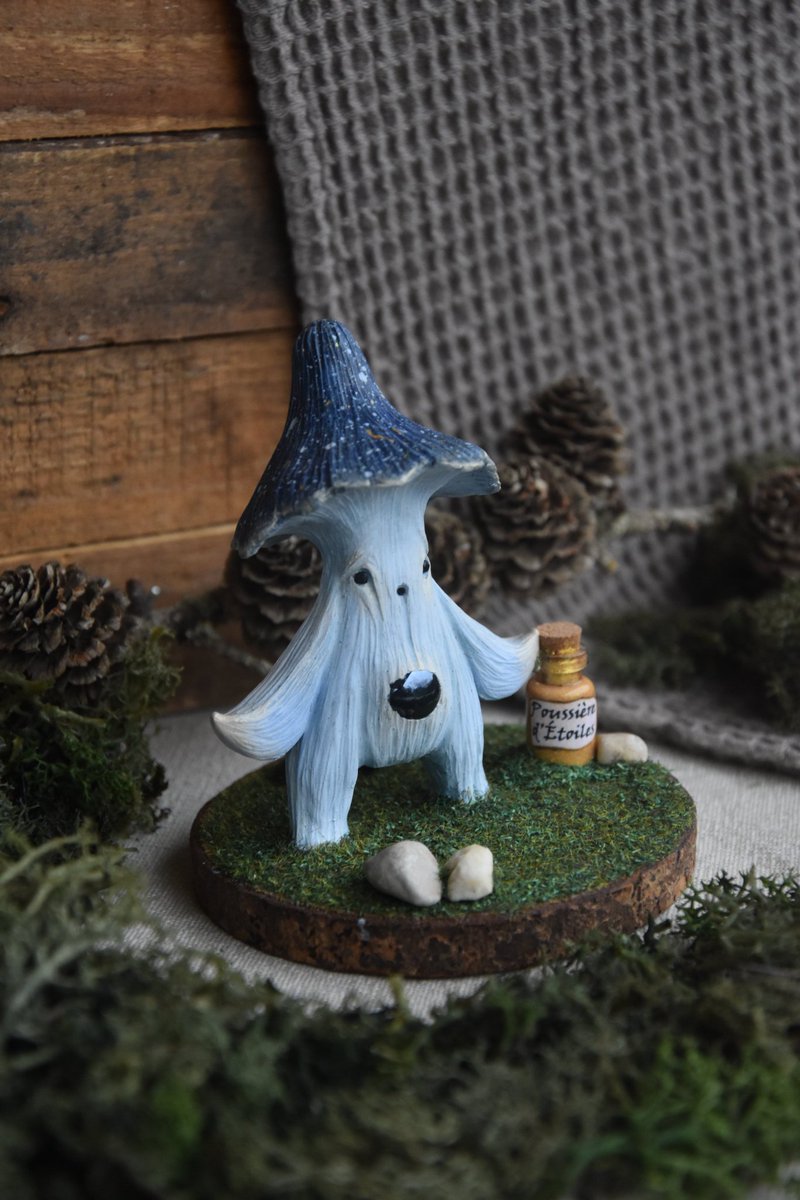 woodandstorm's tweet photo. Helloooo 🥰 
Il y a deux nouveaux Champignons Enchantés à découvrir et à adopter sur le site ! Voici Estrëlla et Nëve ✨️❄️🩵 https://t.co/ZntzLNleqi