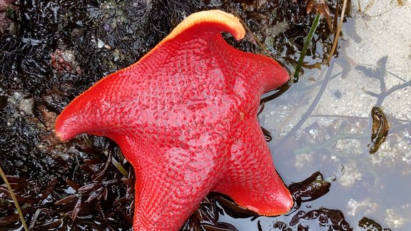 Find Us on Social Media  California Academy of Sciences