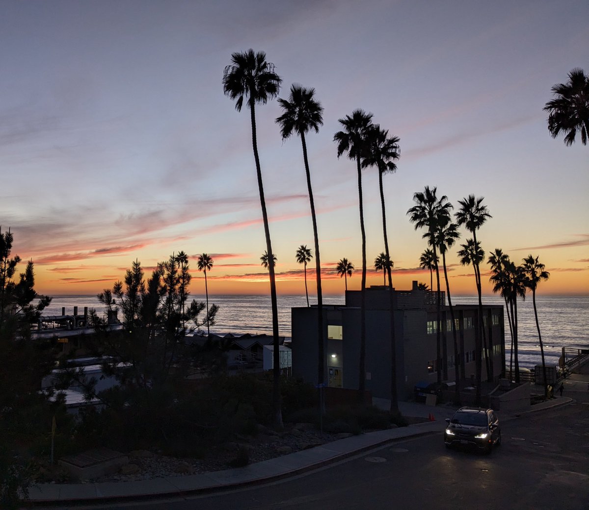 Dr. Tashiana Osborne 🌦️🌍 tweet media