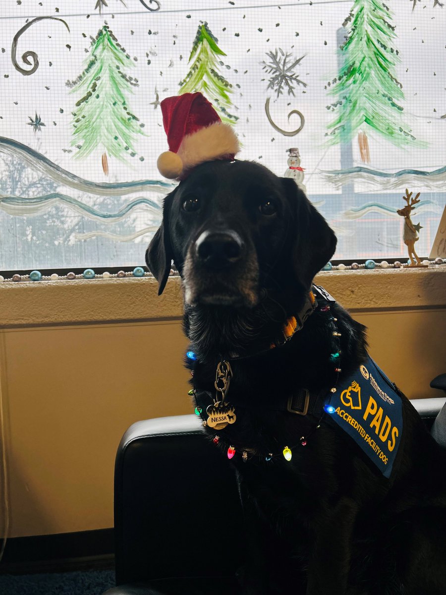 TreehouseCYAC's tweet photo. A huge thank you to our friends at @GulfandFraser  – West End Branch for generously volunteering their time and creativity to decorate The Treehouse for the holidays! Thank you for being a part of our mission to help children feel like kids again https://t.co/CHf5kpusYm