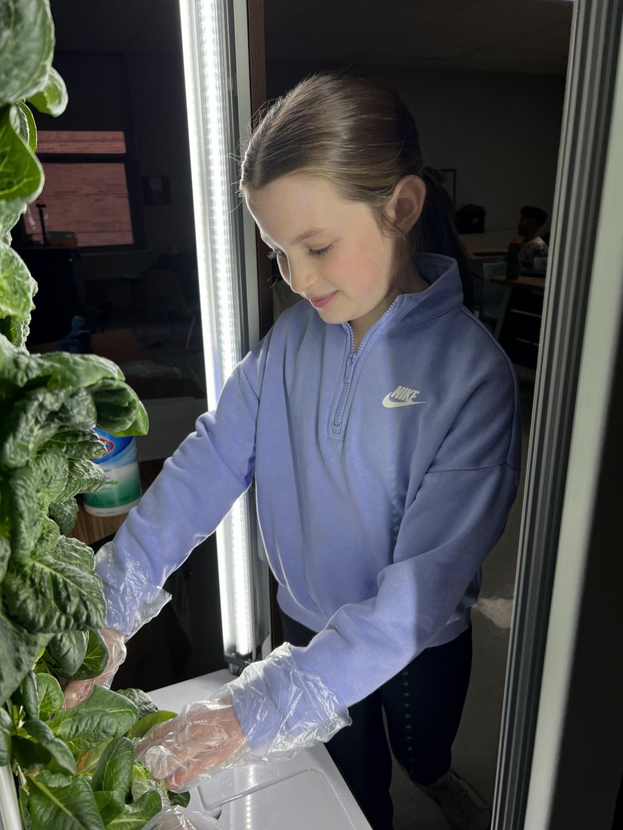 Jason Smit tweet media