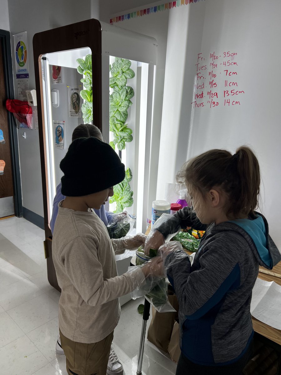 Jason Smit tweet media