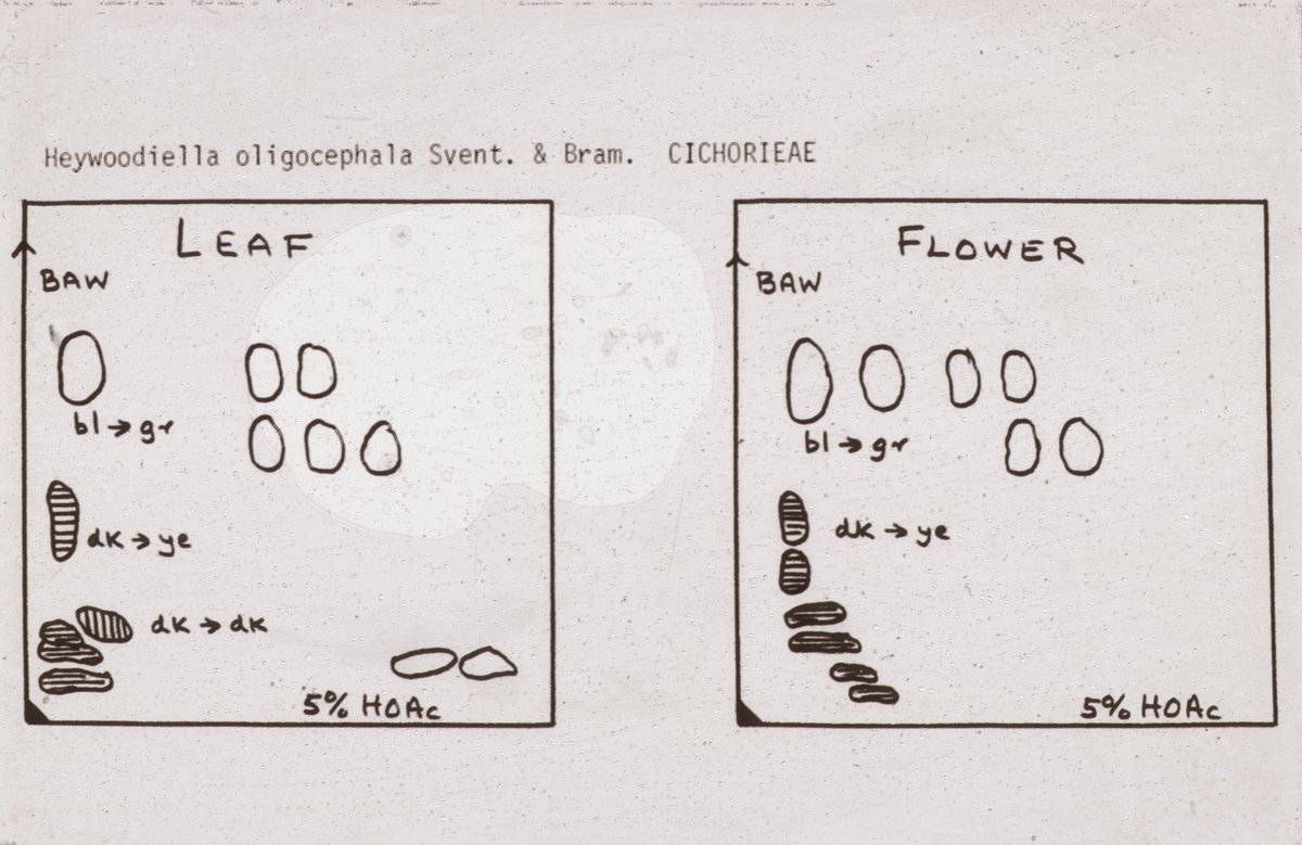 BotanyRNG's tweet photo. #AdventBotany Day 8
Introduction to Ecological Biochemistry by Jeffrey Harborne FRS
I sat through the lectures, later joined the department. This book inspired me to link taxonomy and ecology in later research.
#BotanyBooks
https://t.co/tJbVACqZf5 https://t.co/KswwGrw1LQ