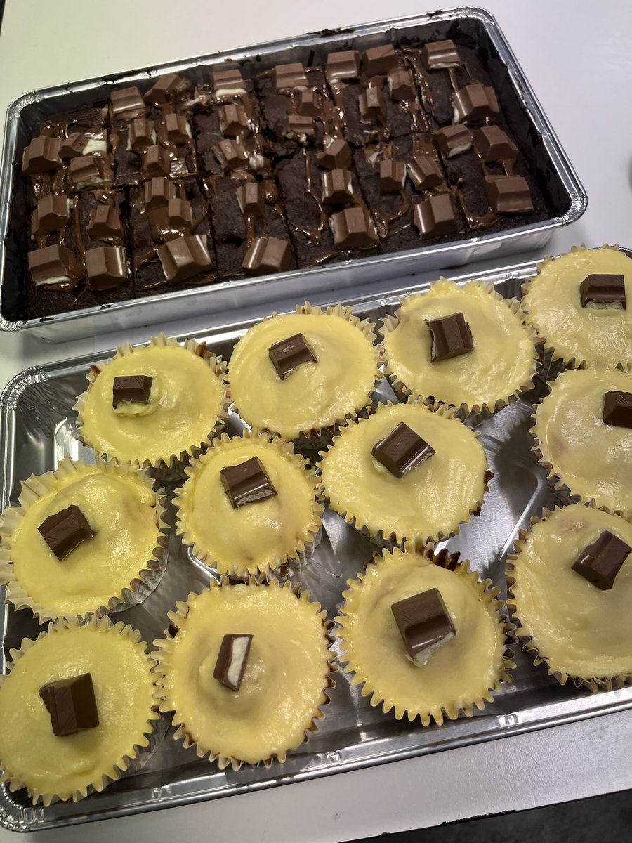 Bella the Therapy Dog tweet media