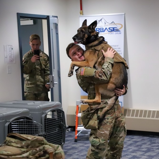 #USArmy handler Noah Adkins with military working dog Bill at Fort Drum, NY. 🇺🇸🫡🐾

#workingdog #militaryworkingdog #workingdogsofinstagram #K9 #policedog #k9handler #MWD #wardogs #doghandler #k9ltw