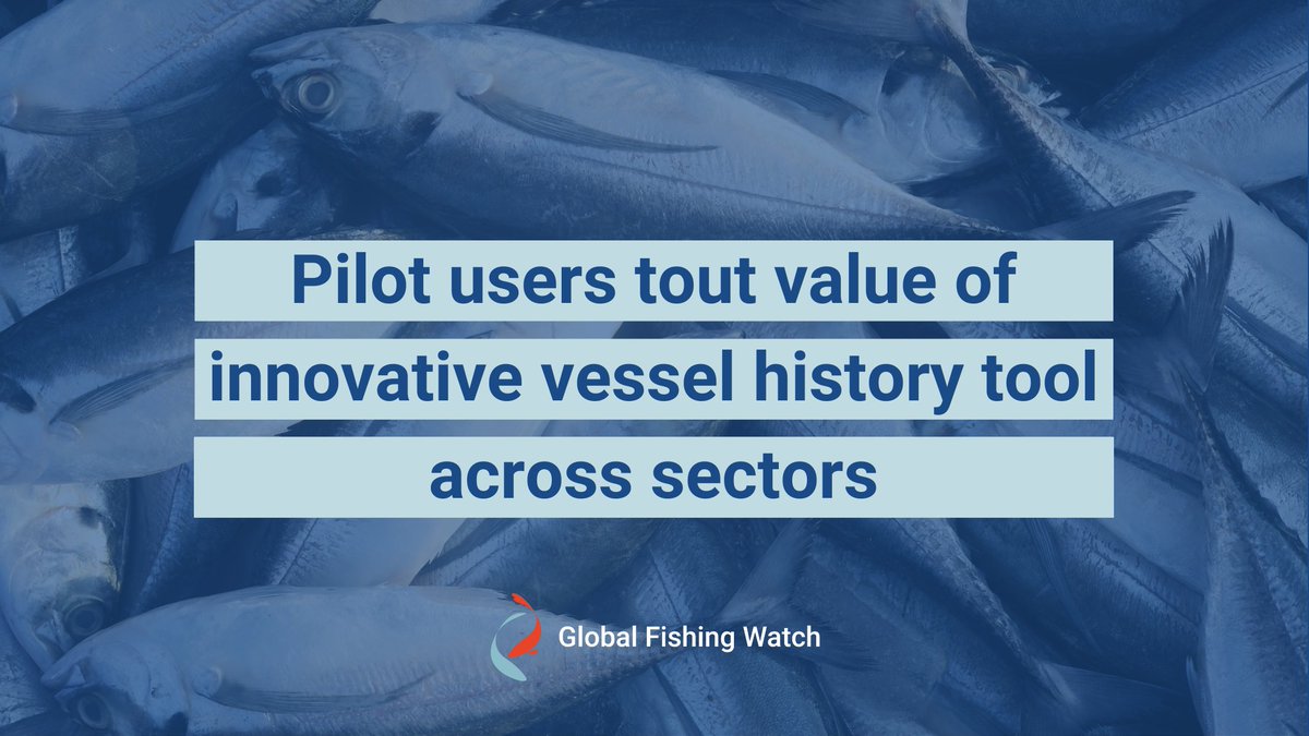 ⛴️ Over the past two years, Vessel Viewer — our innovative vessel history tool developed in partnership with <a href="/tm_tracking/">TMT</a>, has been tested and refined with partners through several pilot projects. 

🌐 #ICYMI, pilot users reflect on the tool's value here: bitly.ws/YC3r