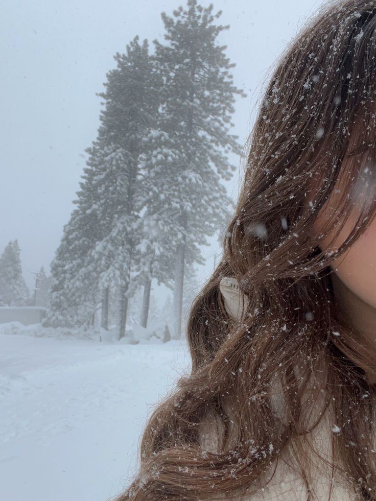 dailyyjune's tweet photo. — Snow day! ❄️ https://t.co/zbdoFl1bar