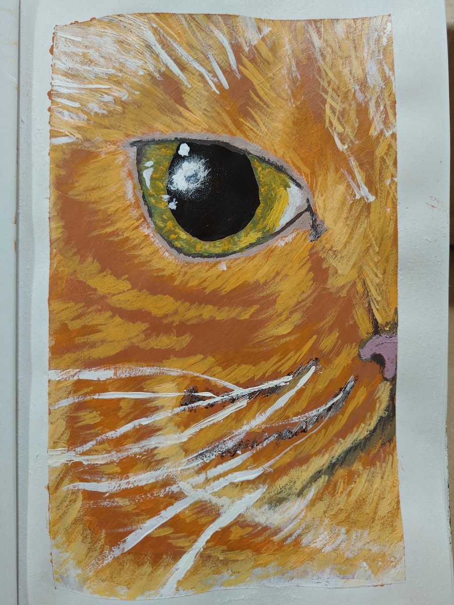 Just wanted to share my love of my friends cat Tigger she's beautiful.
Pretty happie with how this came out.