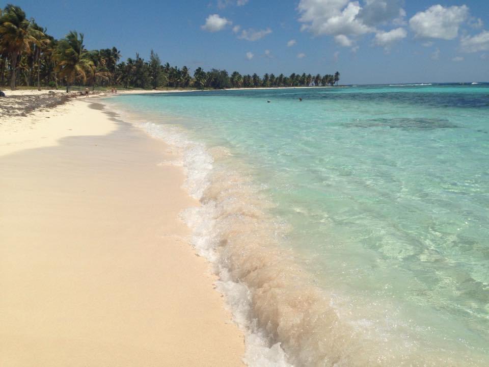 CynthiaRubis's tweet photo. @quiz_viajero Saona, Rep Dominicana https://t.co/RSIJqO0a2u