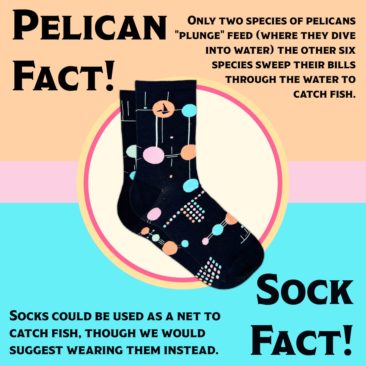 It is also a fact that Hank’s Cancer Socks will make the best gift under the tree this year. Today is your last chance to order for standard domestic holiday delivery! 

Shop now: ow.ly/QlLt50QgU2b