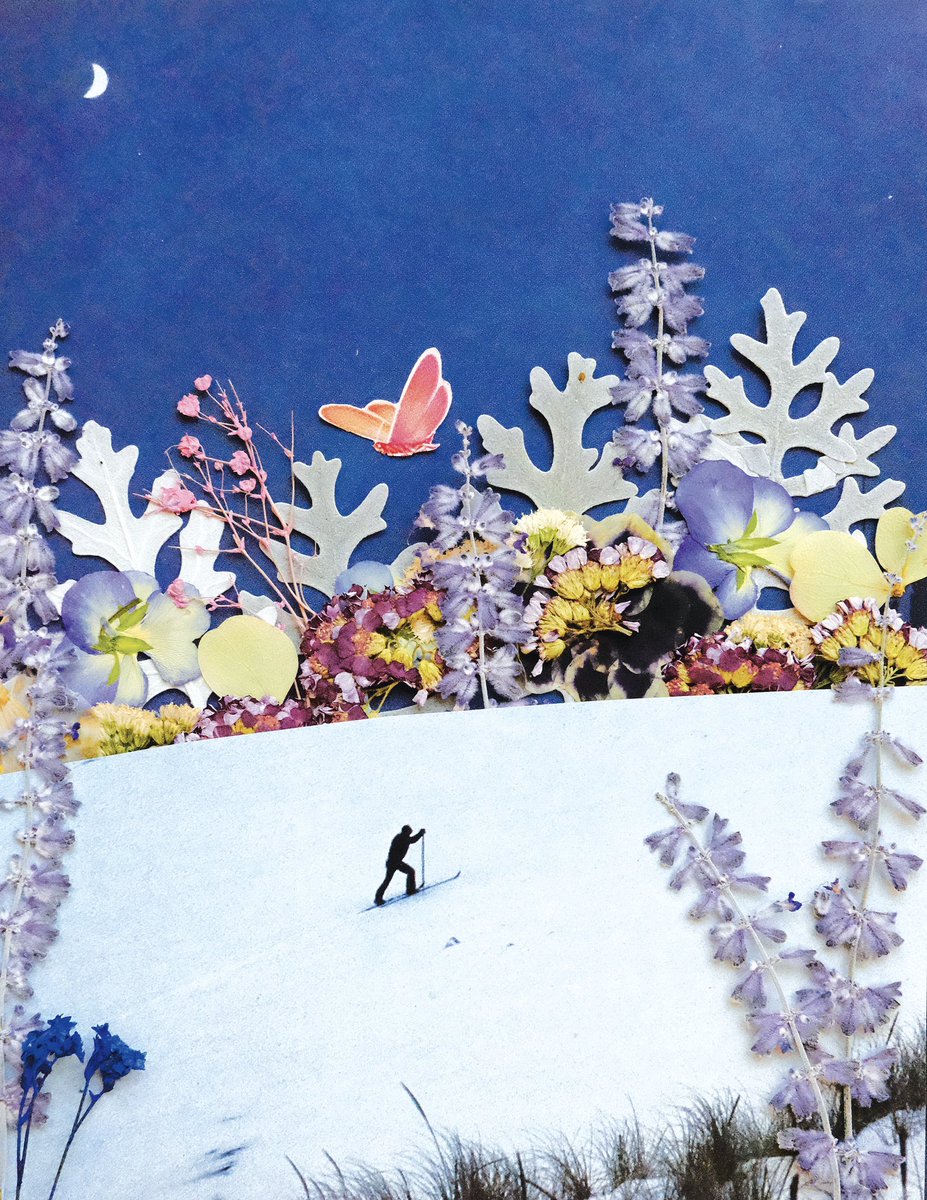 New prints available in my shop ✂️

Phibstuff.com