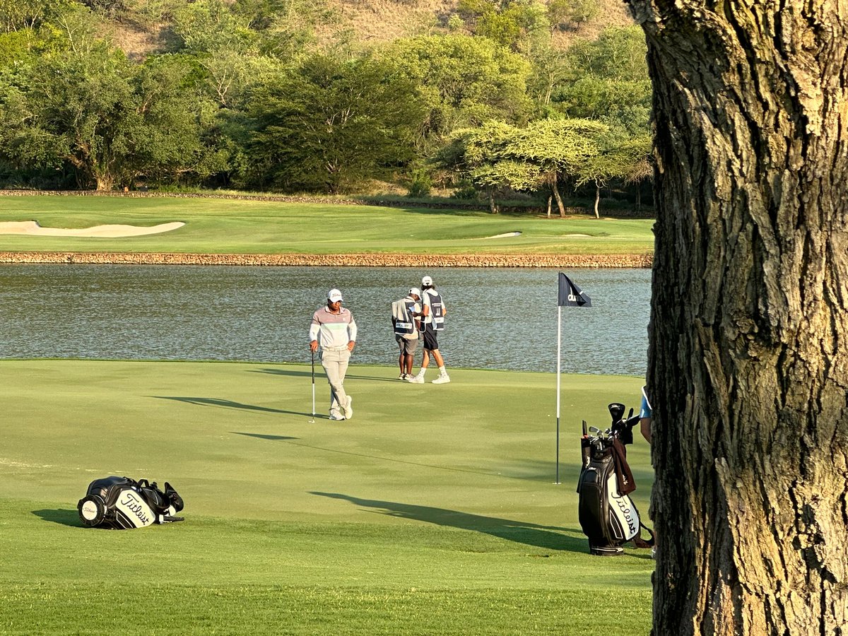 Robin Tiger Williams tweet media