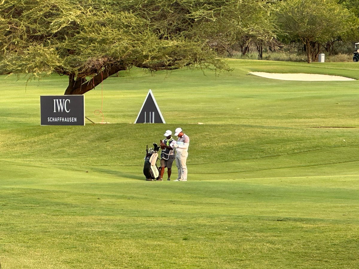 Robin Tiger Williams tweet media