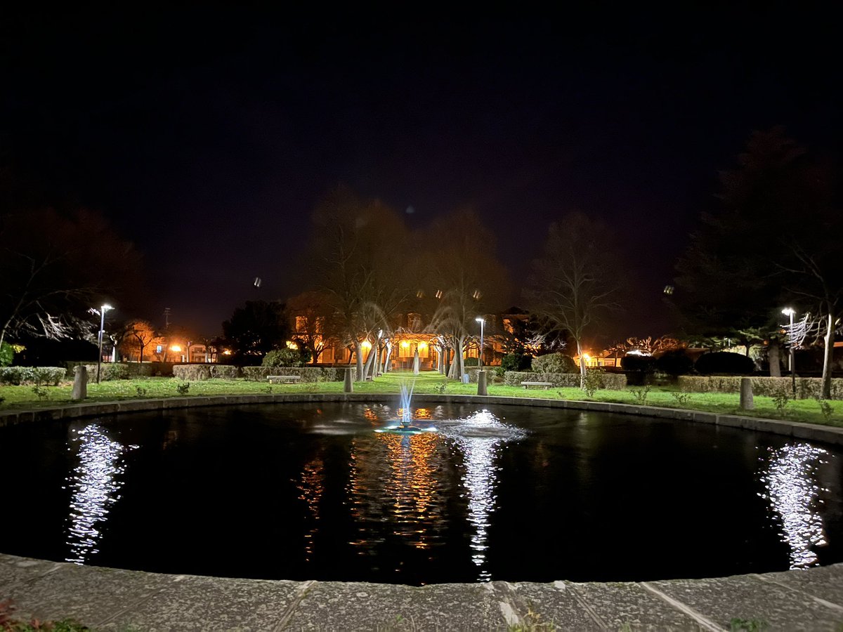 aytopiedrahita1's tweet photo. ¿Estás de visita en #Piedrahita? Sabías qué puedes  ir a darte un paseo nocturno por los Jardines de Palacio de los Duques De Alba. No te lo pierdas #NaturalezadeAñtosVuelos #Avila #CyL https://t.co/j0BLTBo4EA