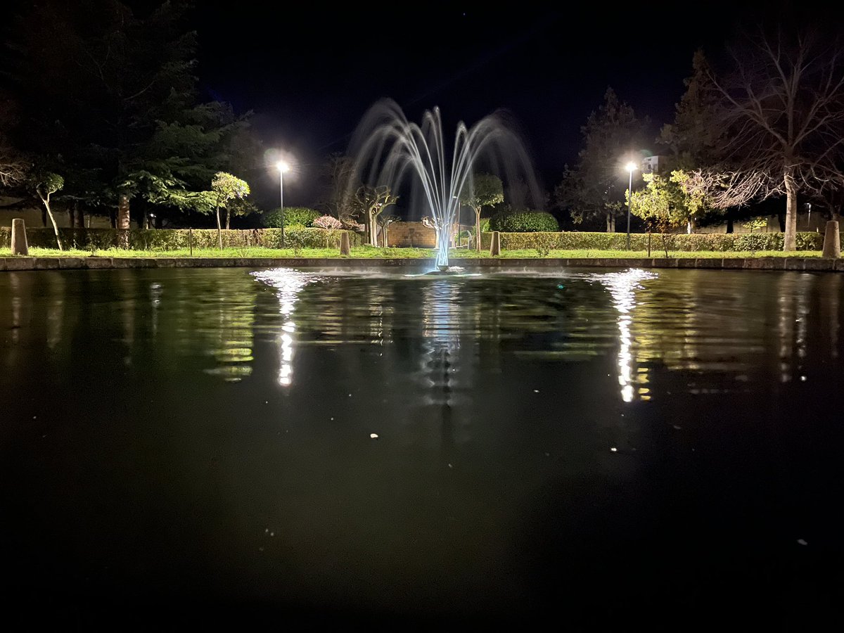 aytopiedrahita1's tweet photo. ¿Estás de visita en #Piedrahita? Sabías qué puedes  ir a darte un paseo nocturno por los Jardines de Palacio de los Duques De Alba. No te lo pierdas #NaturalezadeAñtosVuelos #Avila #CyL https://t.co/j0BLTBo4EA