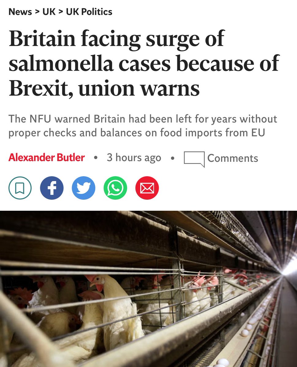 Not surprised that Britain 🇬🇧 is seeing recurring cases of salmonella! #Brexit ensured meat, poultry and eggs aren’t checked properly after leaving the EU. More than 200 human cases of salmonellosis linked to poultry products such as eggs and meat were reported this year. The…