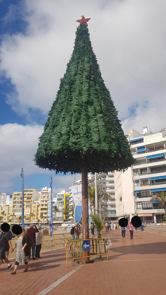 FelipeWquintero's tweet photo. El @AyuntamientoLPA cada año se supera, en cutrerio https://t.co/iiXq2AsaIj